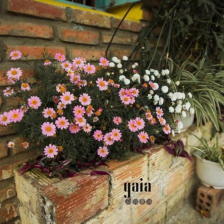 Gaia Hostel Da Lat Esterno foto