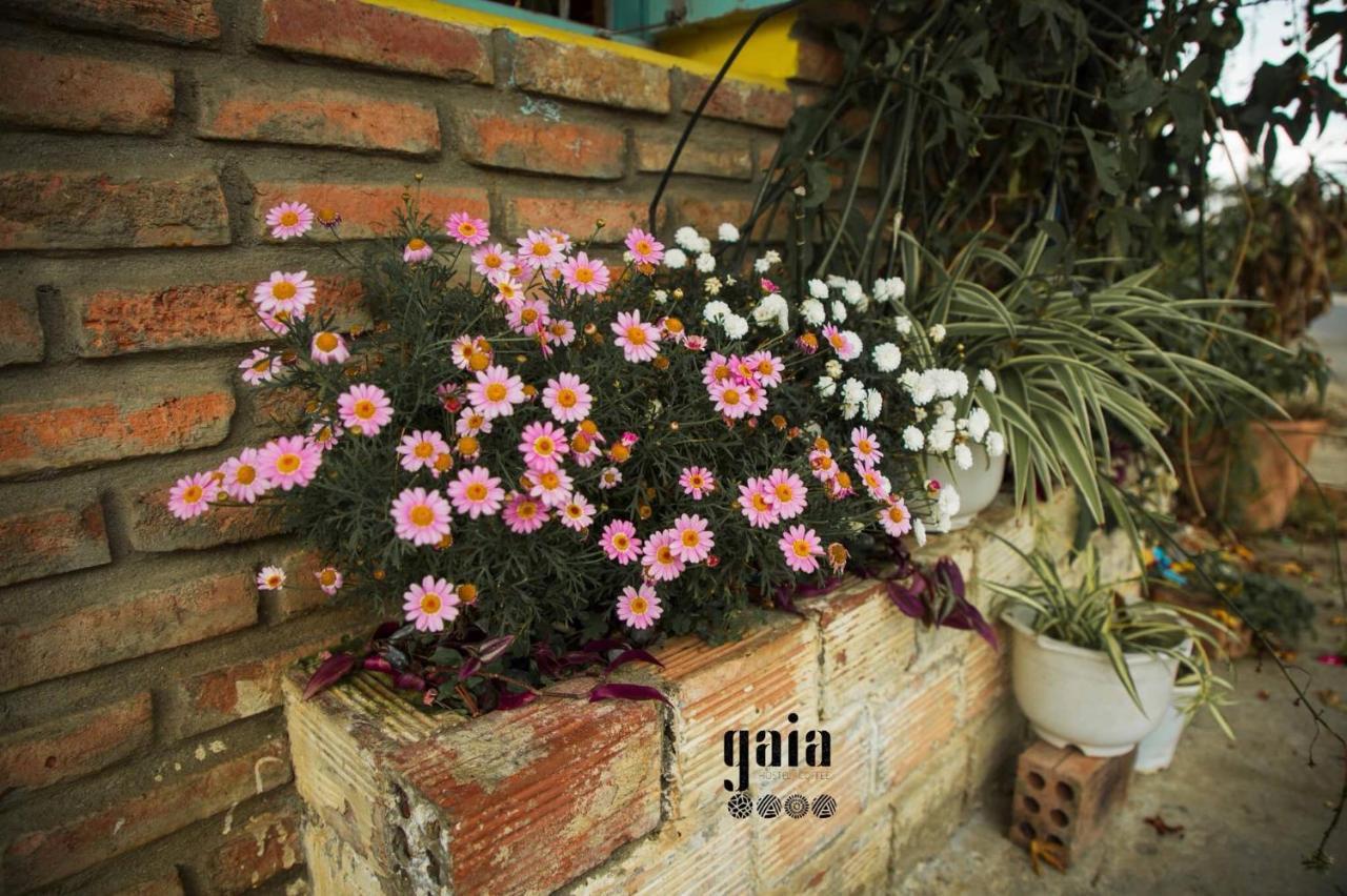 Gaia Hostel Da Lat Esterno foto
